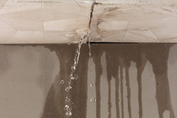 Professional Sewage Cleanup technician working in Delmont, SD